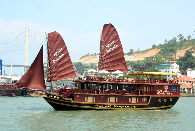 white dolphin cruise halong bay, vietnam tours, halong bay cruises