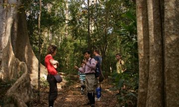 day tour to cat tien national park