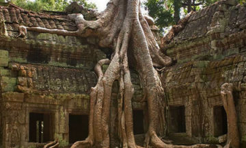 cambodia vacation package